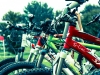 sontra_24h_mtb_2015_015