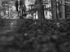 sontra_24h_mtb_2015_119