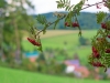sontra_24h_mtb_2015_137