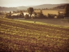 sontra_24h_mtb_2015_174